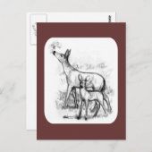 鹿ファミリー ポストカード (正面/裏面)