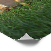 鹿フォトポスター ポスター (角)