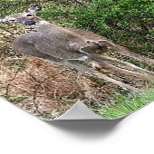 鹿フォトポスター ポスター (角)