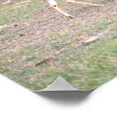 鹿フォトポスター ポスター (角)