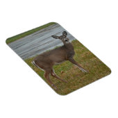 鹿フォトマグネット マグネット (右側)
