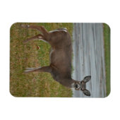 鹿フォトマグネット マグネット (横)