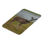 鹿フォトマグネット マグネット (左側)