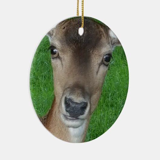 鹿ポートレート写真野生動物 セラミックオーナメント (右)