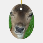 鹿ポートレート写真野生動物 セラミックオーナメント (正面)
