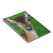 鹿ポートレート写真野生動物 ノートブック (右側)