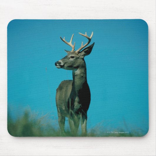 鹿ポートレート マウスパッド (正面)