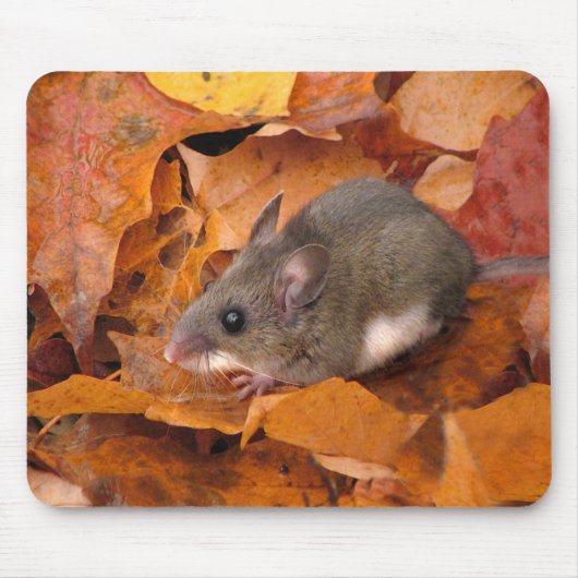 鹿マウスの口 マウスパッド (正面)