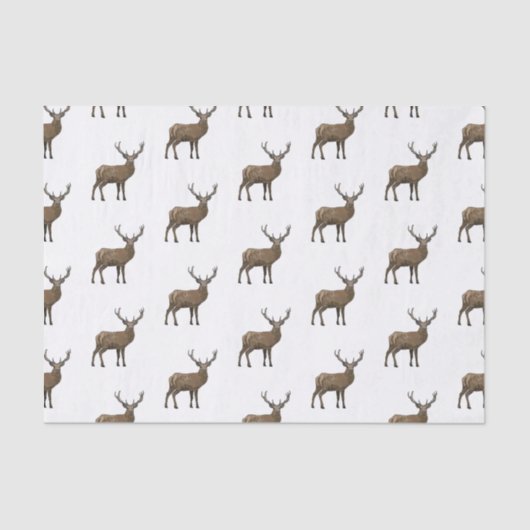 鹿マンガイラストレーション 薄葉紙 (正面)