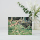 鹿ランニングの森 ポストカード (スタンド正面)