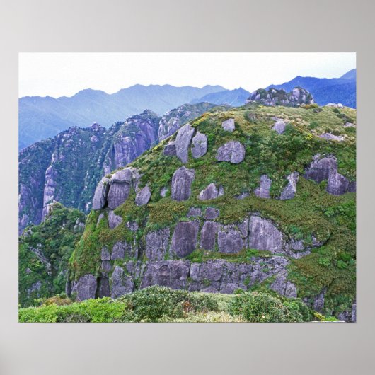 鹿児島県屋久島永田山 ポスター (正面)