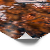 鹿凍ってい湖。 ポスター (コーナー)