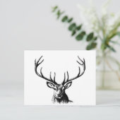 鹿動物〔雄ジカの〕枝角自然野生動物の角の頭部 ポストカード (スタンド正面)