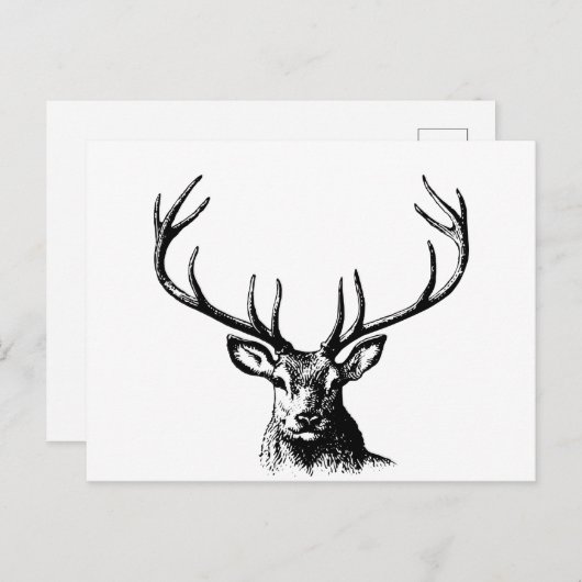 鹿動物〔雄ジカの〕枝角自然野生動物の角の頭部 ポストカード (正面/裏面)