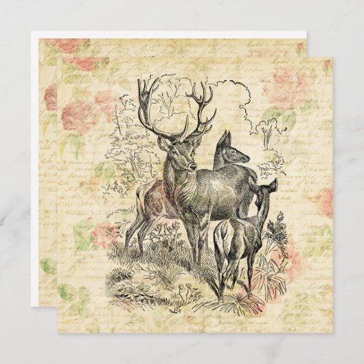 鹿図解入りの、写真付きののファミかわいらしリフローラ シーズンカード (正面/裏面)