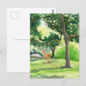 鹿図解入りの、写真付きの付き絵を描緑の自然 ポストカード (正面/裏面)