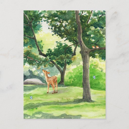 鹿図解入りの、写真付きの付き絵を描緑の自然 ポストカード (正面)