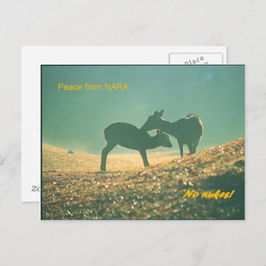 鹿奈良 ポストカード (正面/裏面)