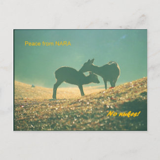 鹿奈良 ポストカード