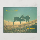 鹿奈良 ポストカード (正面)