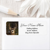 鹿差出人住所 ラベル (インサイチュ)