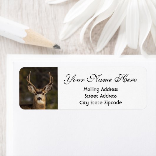 鹿差出人住所 ラベル (インサイチュ)