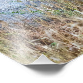 鹿放牧〔雄ジカの〕枝角写真 フォトプリント            (角)