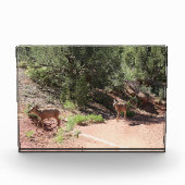 鹿歩く フォトブロック (正面)