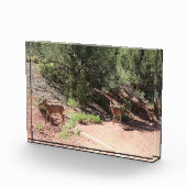 鹿歩く フォトブロック (右)