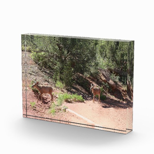 鹿歩く フォトブロック (右)