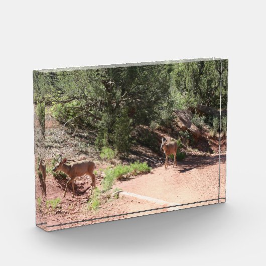 鹿歩く フォトブロック (左)