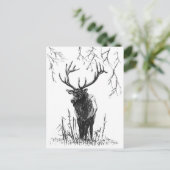 鹿狩り休日はがき シーズンポストカード (スタンド正面)