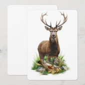 鹿狩猟 招待状 (正面/裏面)