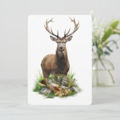 鹿狩猟 招待状 (スタンド正面)