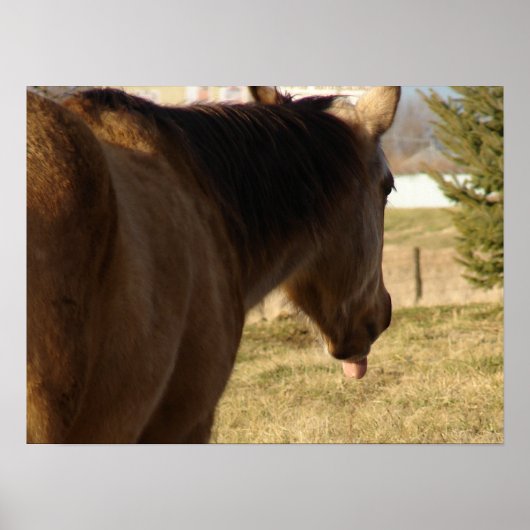 鹿皮が舌を出す ポスター (正面)