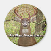 鹿磁石 マグネット (正面)