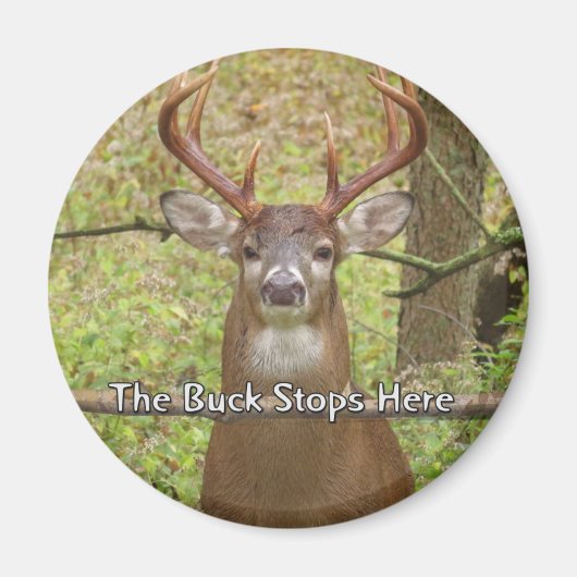 鹿磁石 マグネット (正面)