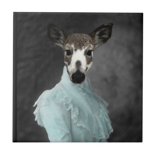 鹿親愛顔 タイル (正面)