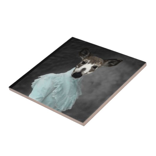 鹿親愛顔 タイル (側面)