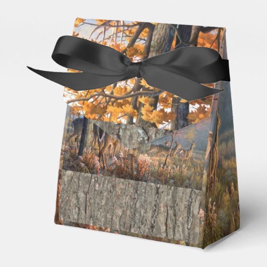 鹿遊家 フェイバーボックス (正面サイド)