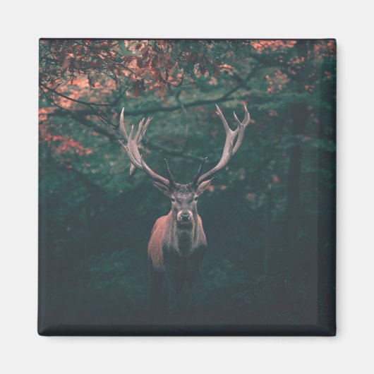 鹿野獣 マグネット (正面)