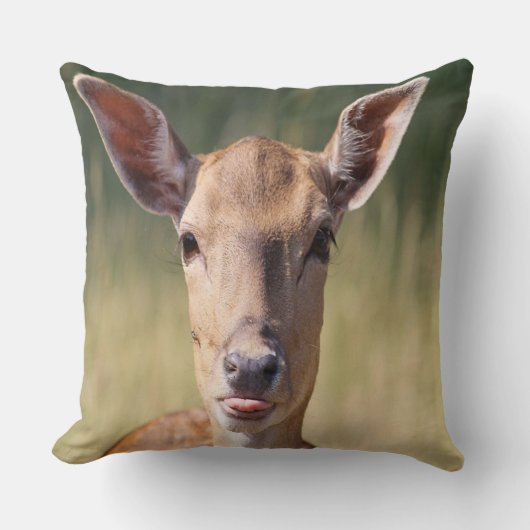 鹿間抜け クッション (正面)