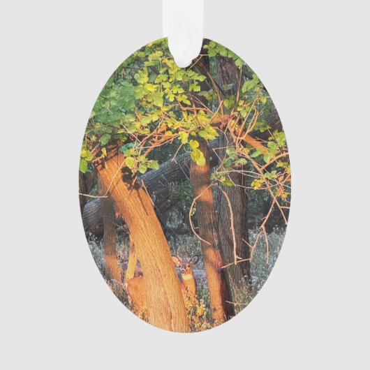 鹿隠れ木オーナメント オーナメント (正面)