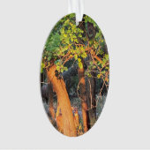 鹿隠れ木オーナメント オーナメント (正面)