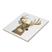 鹿頭 タイル (側面)