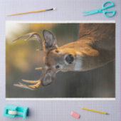 鹿顔 薄葉紙 (クラフト)