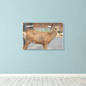 鹿食べ キャンバスプリント (インサイチュ (ウッドフロア))