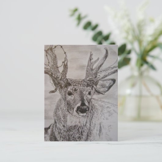 鹿2 ポストカード (スタンド正面)