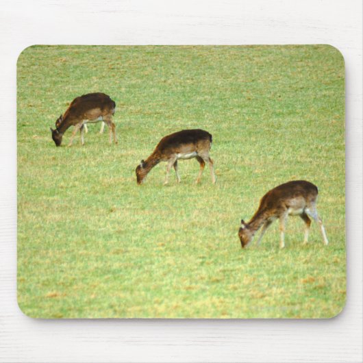 鹿2 マウスパッド (正面)