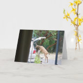 鹿! カード (黄色い花)